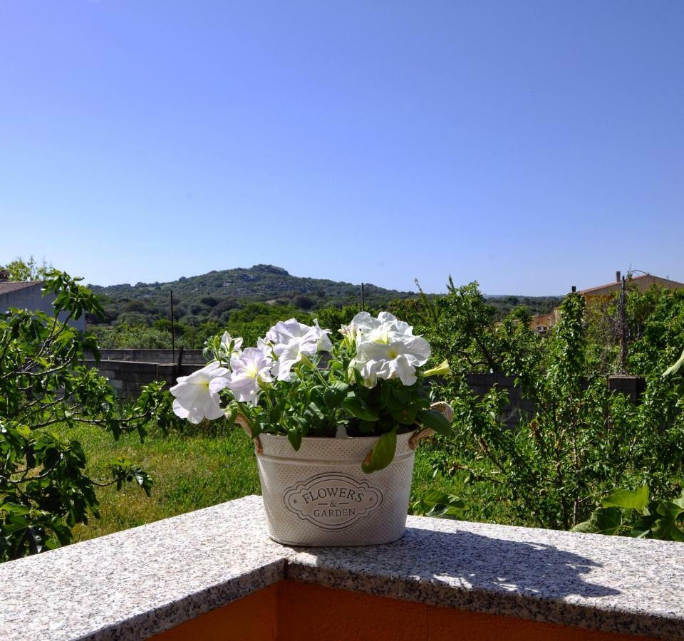 Casa Duminicheddha, Mare E Relax In Gallura Bassacutena ภายนอก รูปภาพ