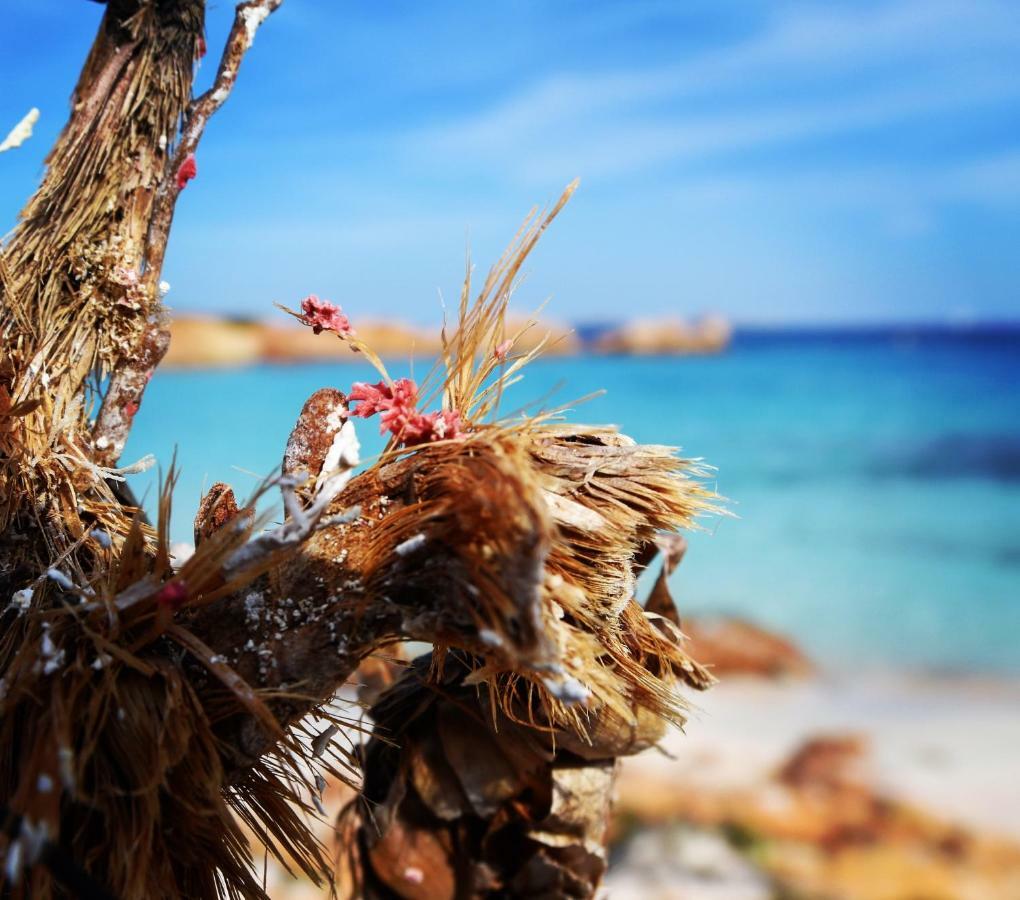 Casa Duminicheddha, Mare E Relax In Gallura Bassacutena ภายนอก รูปภาพ